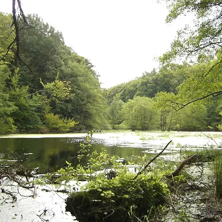 Appartamento Appartementhaus Sonnenbad App 04 Sassnitz